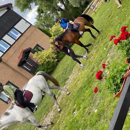 Folwark Nadmorska Ostoja